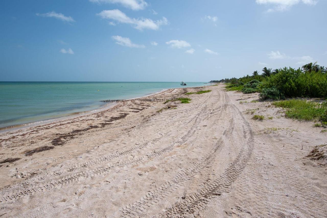 97982 New Modern Villa, Private Pool, High Internet Speed, 2 Blocks From The Beach Pueblo Chicxulub Exterior foto