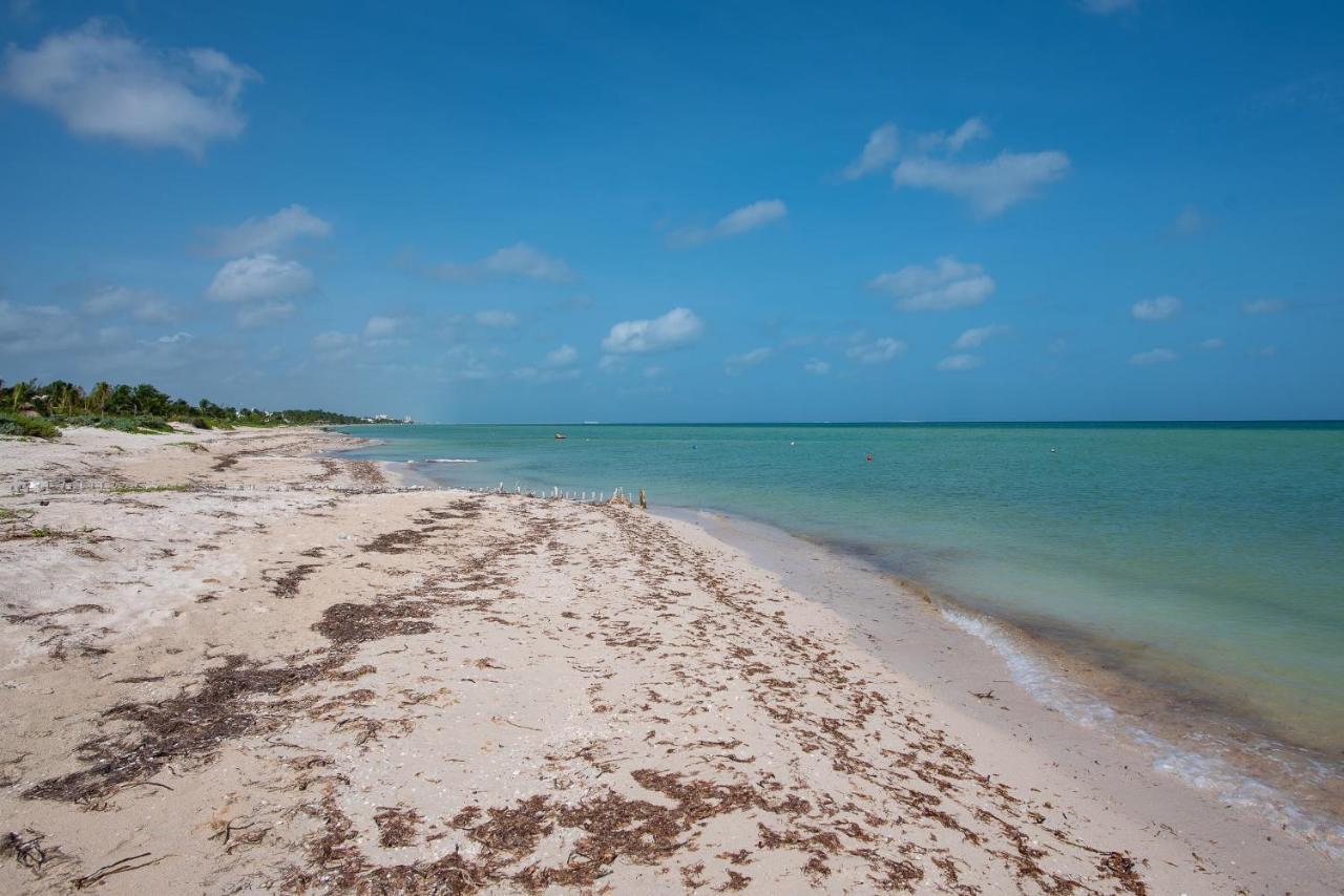 97982 New Modern Villa, Private Pool, High Internet Speed, 2 Blocks From The Beach Pueblo Chicxulub Exterior foto